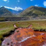 Gdzie znaleźć nowości książkowe - przewodniki po premierach