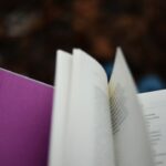 Jakie są najpopularniejsze książki - przegląd bestsellerów